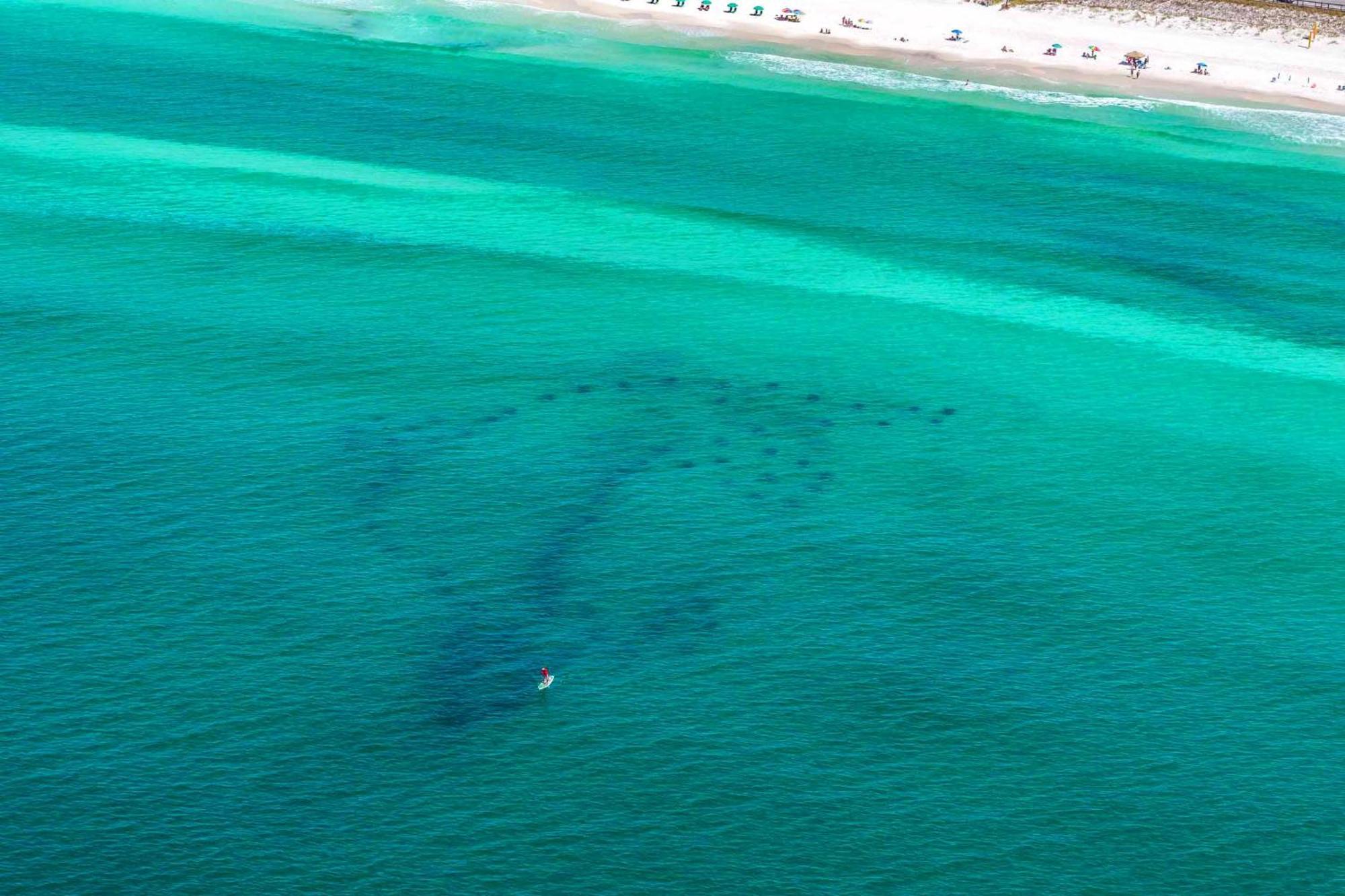 Ariel Dunes I 203 Lejlighed Destin Eksteriør billede